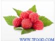 红树莓浓缩汁清汁美国进口天津分公司厂家直销