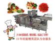 广州九盈机械洗菜机生产厂家