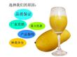 台农芒果原浆 粤旺牌芒果酱 芒果汁（220KG）