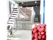 全自动大型红枣烘干机设备大枣烘房网带式热风干燥机隧道烘干房