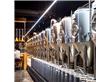 2吨小型精酿啤酒厂设备,自酿啤酒设备厂家