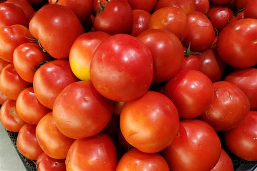 番茄比雞蛋貴！昆明市場上番茄零售價格上漲