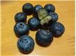 蓝莓保健功效多，蓝莓买回家如何清洗