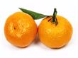 橘子也分公母 如何挑选到甜橘子