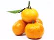 春节吃砂糖橘图个大吉大利，但食用时需记住3个禁忌