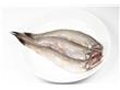 伏季休渔期，浙江市场禁售八种捕捞海鲜