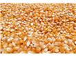未来几年中国粮食价格有涨有跌—稻麦继续走低，玉米大豆走高！
