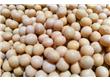 中国大豆种植面积今年大增 如何争夺“定价权”？