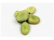 蚕豆有哪些营养 蚕豆的功效与作用