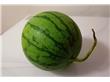 为什么西瓜不能用勺子挖着吃 吃西瓜的禁忌有哪些