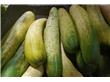 清爽翠绿又消暑 夏季吃黄瓜有什么好处？