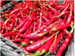 吃辣椒有助健康？研究：或可降低心臟病、中風風險