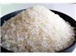 稻米从高产迈向优质 隆平高科最新育种成果促进粮食量质兼具