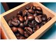 全球咖啡需求旺盛 咖啡豆价格为何一路暴跌？