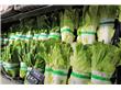 春节前南京市场水果蔬菜多涨价 猪肉降价