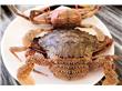 刚死的螃蟹能吃吗 螃蟹死了多久不能吃