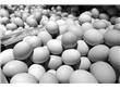 厦门：鸡蛋8.5元/斤 半个月上涨16%后期仍有上涨可能