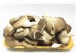 秀珍菇的功效与作用及其营养价值