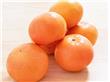 沃柑好吃嗎？沃柑是橙還是橘？
