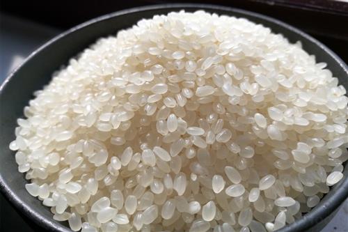 明水香稻