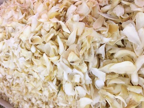 乌发养颜食谱 百合润肺米的做法