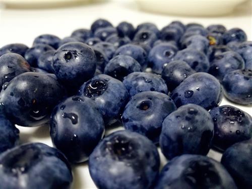 怀孕期间吃蓝莓好吗?怀孕后吃蓝莓有什么好处