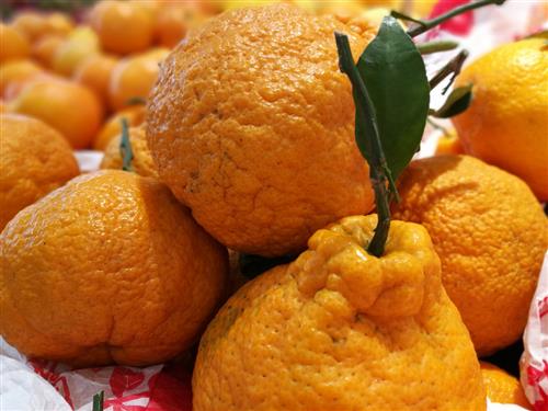 丑橘有什么功效与作用