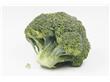 研究人员发现：多吃“绿菜花”可防病