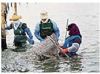 贝类保活流通之二拖网捕捞