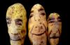 食品艺术-土豆肖像