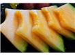 哈密瓜品种——洋香瓜
