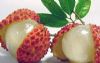 12种人工催生的有毒水果（10）