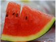夏季吃“四瓜”防暑保健康