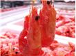 北极虾的营养价值