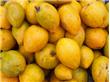 儿童吃芒果菠萝需防患皮炎