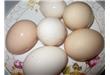 吃鸡蛋应几成熟？