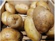 秋季多吃土豆 对“胃溃疡”大有益处