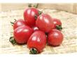 西红柿减肥瘦身食谱