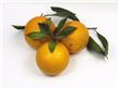 咳嗽吃烤橘子有效吗？