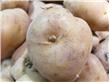 土豆怎样保存不发芽 如何防止土豆发芽