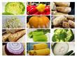 如何挑选新鲜健康的蔬菜