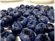 蓝莓干的功效 蓝莓干怎么吃能泡水喝吗