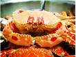螃蟹怎么吃 教你如何优雅的吃螃蟹