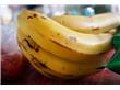 表皮变黑的香蕉不宜食用？没那么夸张