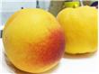 夏日吃桃子正当时 9个食用禁忌需记牢