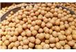 鹰嘴豆的作用与功效及食用方法