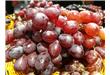 无籽葡萄是转基因吗