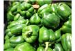 青椒的食用功效和营养成分