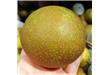 翠冠梨的营养价值和功效