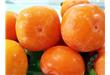 脆柿子和软柿子的区别 哪种更好吃？